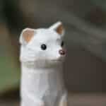 Animaux en Bois de Style Furet Sculpté à la Main 7